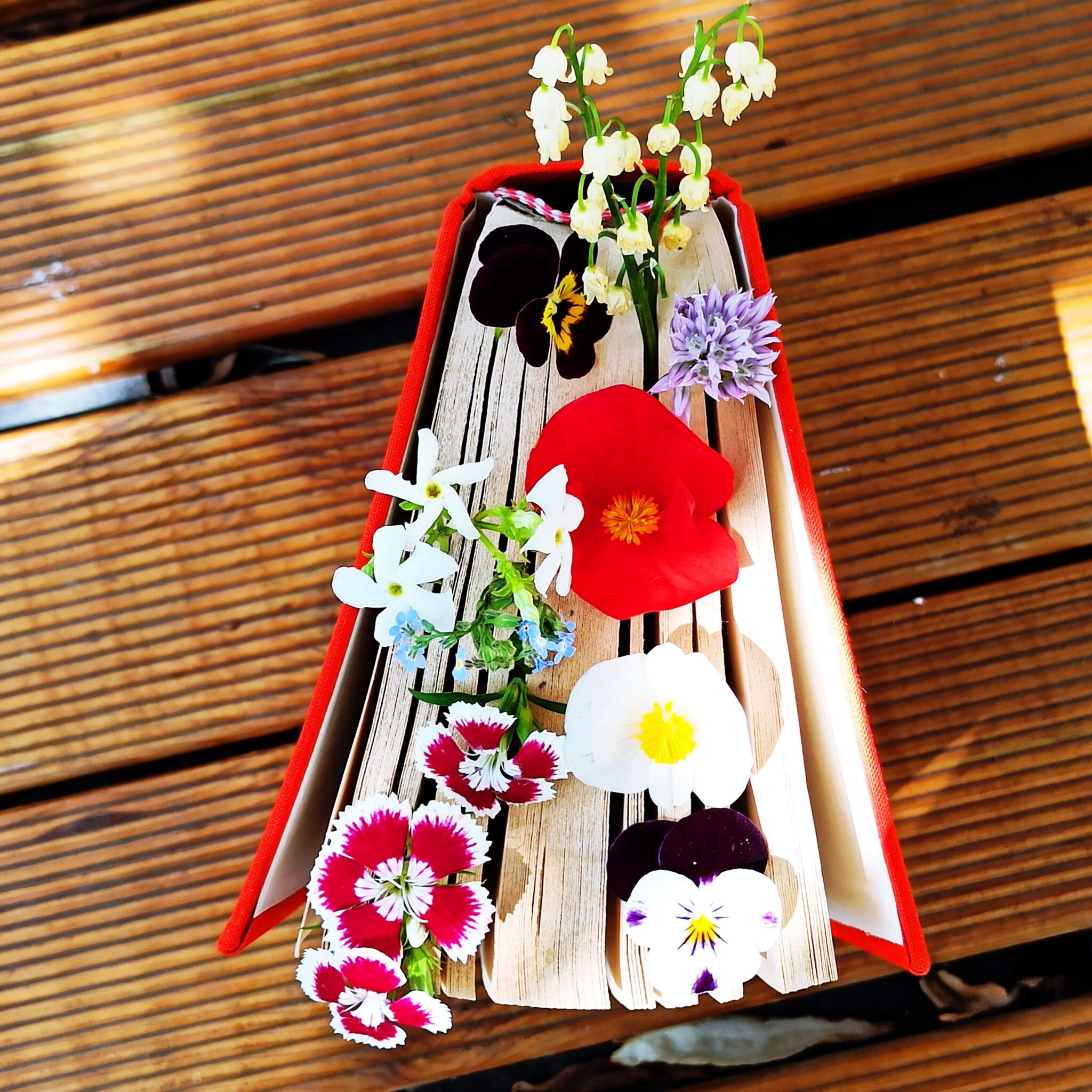 Libro sul tavolo del giardino