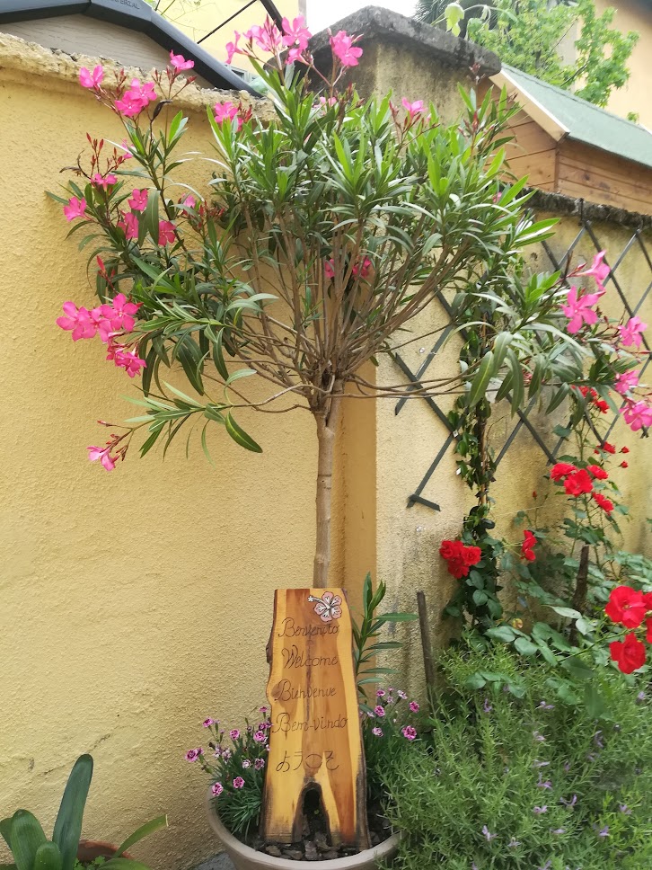 tavoletta di benvenuto
