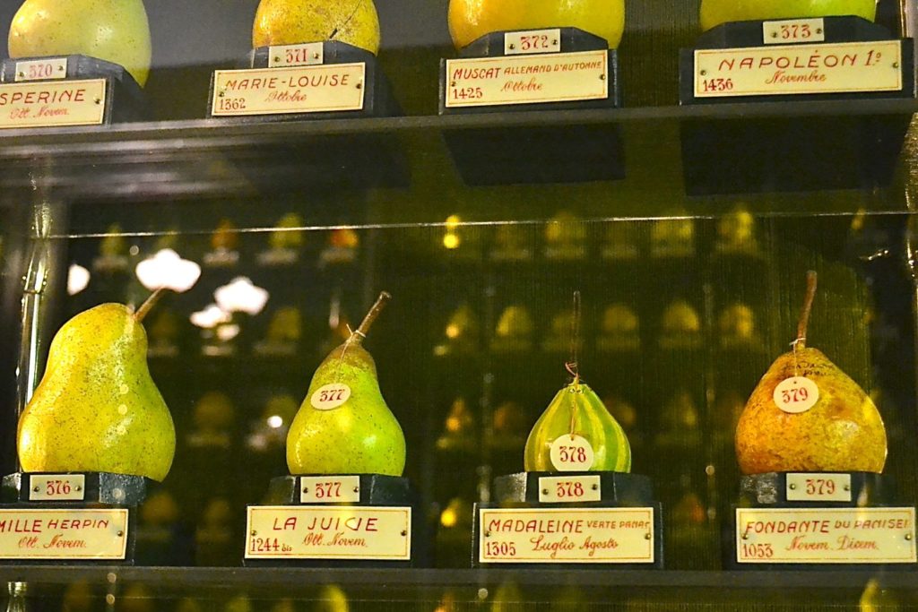 Museo della frutta a Torino