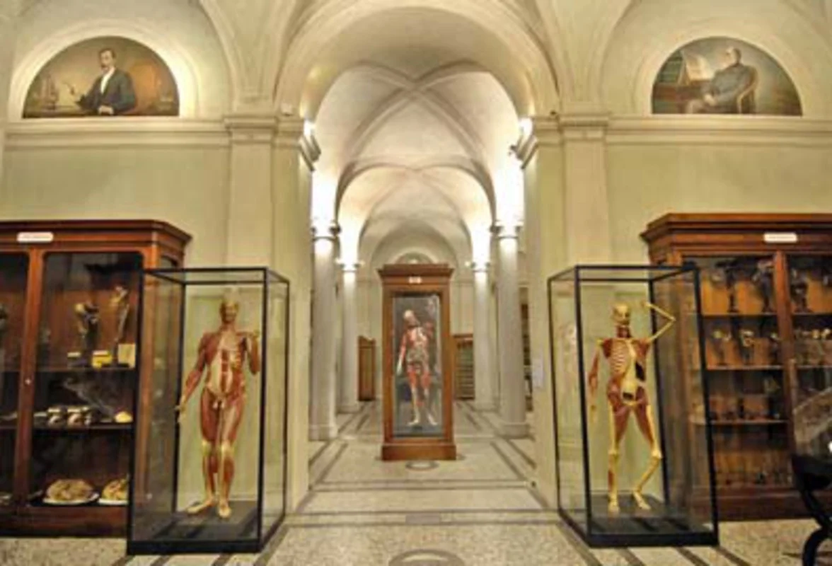 Museo dell'anatomia umana a Torino