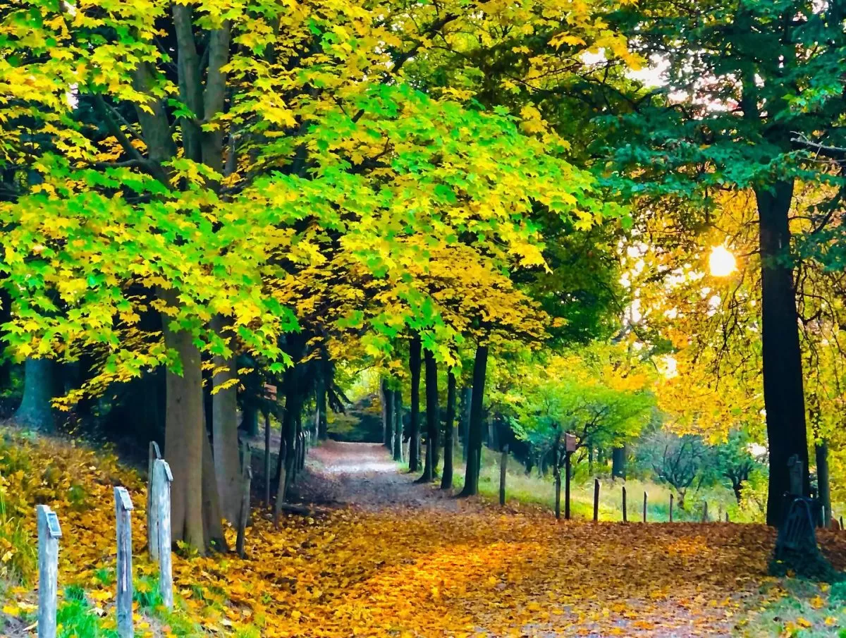 Parco della Maddalena a Torino